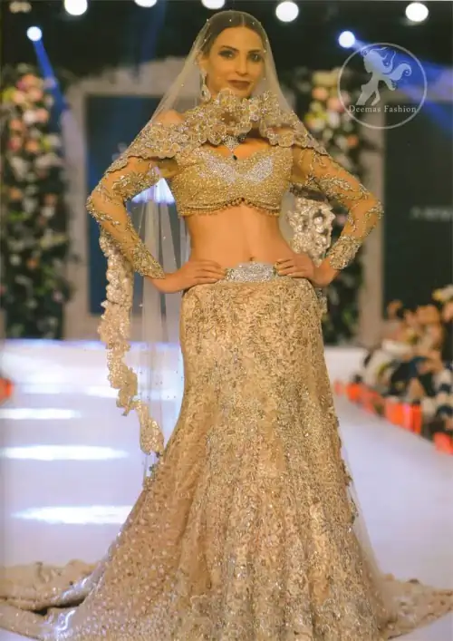 Bridal Wear Lehenga Choli - Light Brown Blouse -Back Trail Lehenga