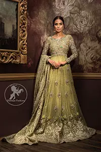 Lime Green Fully Embroidered Back Trail Bridal Maxi. Maxi has been adorned with an embellished bodice. Ornamental motifs are scattered all over.