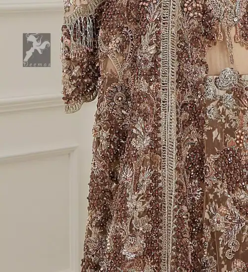 Light brown front open net maxi having brandy rose bodice. Maxi adorned with brown, light golden, champagne and silver embellishment.