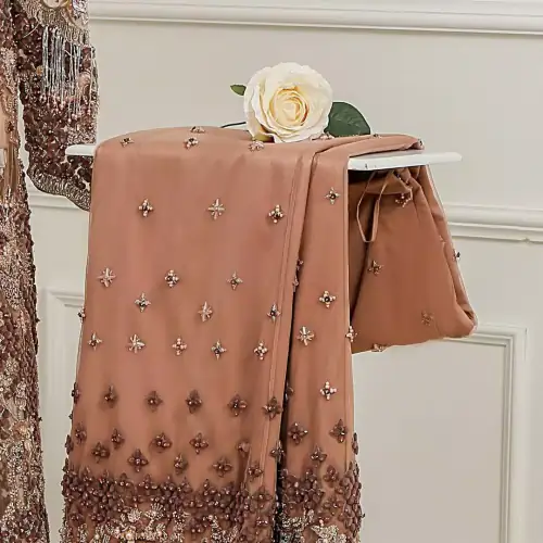 Light brown front open net maxi having brandy rose bodice. Maxi adorned with brown, light golden, champagne and silver embellishment.