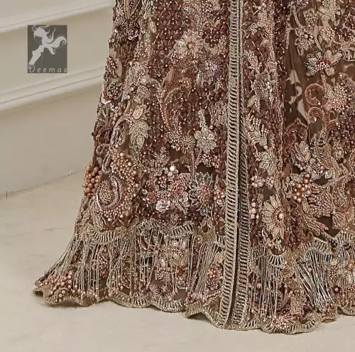 Light brown front open net maxi having brandy rose bodice. Maxi adorned with brown, light golden, champagne and silver embellishment.