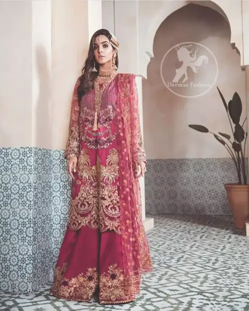 A picture of pure elegance with our net tapestry shirt enhanced with embellished neckline. The daaman is further highlighted with