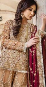 Pakistani Fashion 2022 - Pakistani Party Wear Frocks - Bridal Dresses