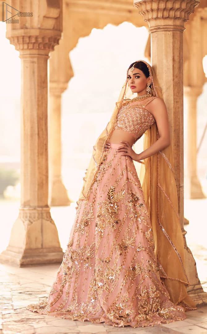 Take all the attention of the guests with your exquisite look with one of the best outfits from Deemas Fashion. Comprising of a peach organza round neckline blouse with complete zardozi work. This exceptionally embellished outfit is organized with a fawn organza dupatta which is sprayed with sequins glorifying its grace. Peach organza lehenga emphasized with floral bunches done with kora, dabka, tilla and sequins work. Making it true that you can turn all the heads around with your gorgeous ability to wear the outfit in a way that is spectacular.