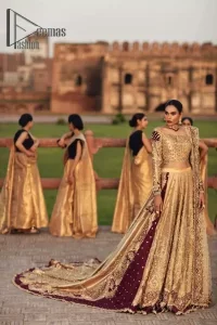 Golden Blouse – Two Tone Back Train Lehenga – Dupatta - Image 8