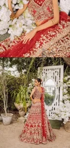 Red halter Neck Blouse – Lehenga n Dupatta - Image 6