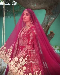 Wine Red Blouse – Flared Lehenga – Dupatta - Image 4