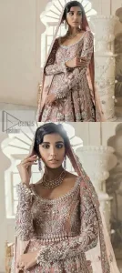 Peach Blouse – Floor Length Lehenga – Dupatta - Image 4
