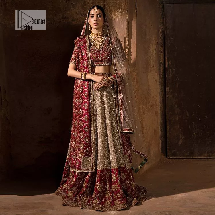 Keep it comfy and attractive with the best DeemasFashion reception wear! A silver flare lehenga encrusted with tilla, dabka, kora, Kundan and pearl work with heavily adorned silver and golden embroidery. The border of the lehenga has a beautiful red border to make it a unique masterpiece. The red blouse with V shape neckline is hand rendered with beautiful embroidery. In addition to this, the following blouse has half sleeves which is a simply stunning wedding dress. The look is completed with a beautiful, red organza dupatta with intricately hand embellished motifs and borders.