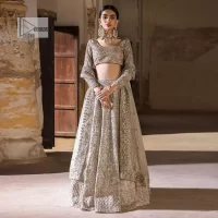 Sliver Blouse – Flare Lehenga n Duppata - Image 3