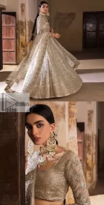 Sliver Blouse – Flare Lehenga n Duppata - Image 6