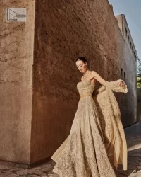 Beige Blouse – Gown – Flared Lehenga - Image 2