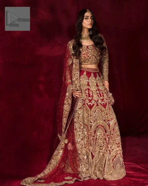 Delicate florals for your convenience to create a truly mesmerizing look! DeemasFashion presents a lehenga choli in a deep red