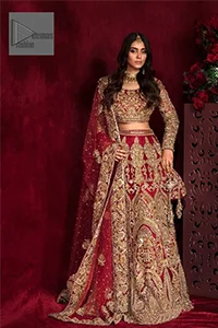 Delicate florals for your convenience to create a truly mesmerizing look! DeemasFashion presents a lehenga choli in a deep red color.