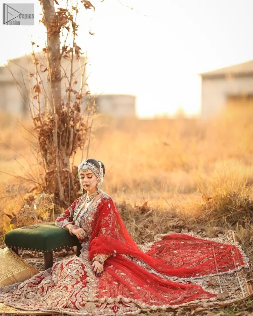 The Red Blouse Flared Lehenga Scalloped Dupatta exudes a timeless, fairytale-like elegance perfect for your reception or first day.