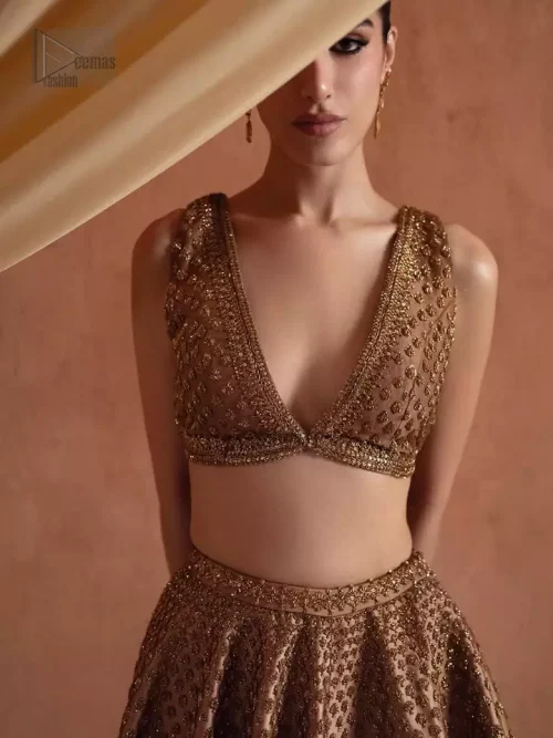 Neckline Detail: Close-up of the sophisticated V-shaped neckline and antique embroidery on the sleeveless bronze blouse.