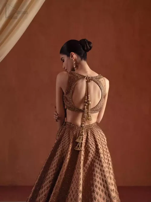 Back Silhouette: Elegant back profile of the bronze wedding attire showcasing the majestic back train and embellished choli.