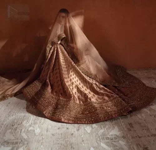 Tassel Accent: Close-up of the traditional tassels and side zip detailing on the Bronze Blouse Back Train Lehenga.