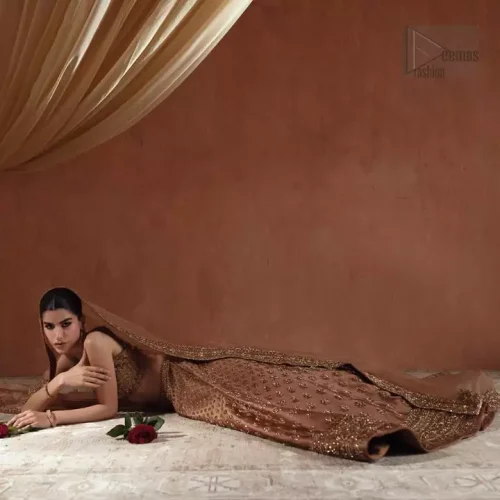 Organza & Silk Blend: Capturing the contrast between the structured pure silk lehenga and the ethereal bronze organza dupatta.