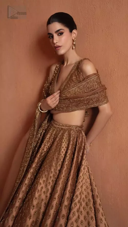 Artistic Motifs: Detail of the delicate floral and geometric motifs scattered across the bronze bridal lehenga.