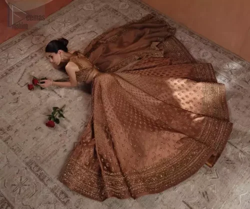 Sleeveless Elegance: Focus on the sleeveless cut of the bronze blouse, emphasizing the modern yet traditional Walima aesthetic.