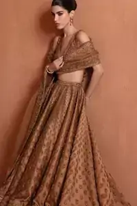 Bronze Blouse Back Train Lehenga