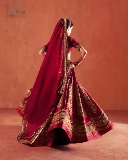 Organza Dupatta: Ethereal ruby red organza dupatta featuring four-sided embroidered borders and traditional Kiran lace.