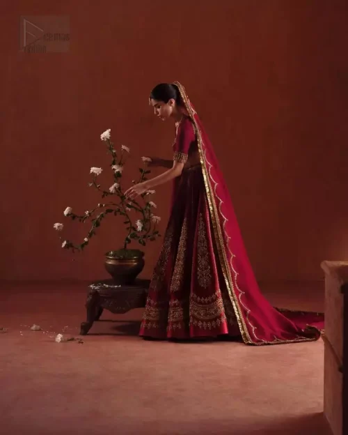 Gold Accents: A focus on the light golden and antique shades of embroidery that give this dress its royal aura.