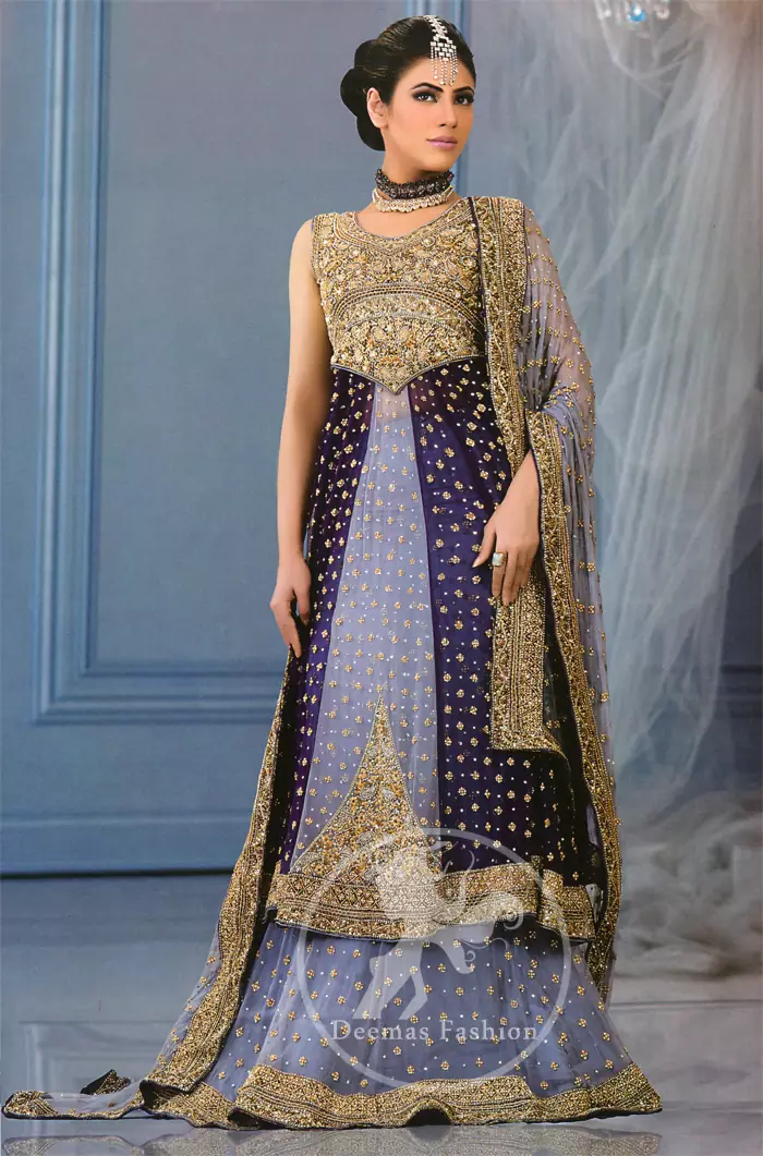 Navy Blue Pakistani Dress with Fine Embroidery #PF324 | Blue pakistani dress,  Pakistani formal dresses, Pakistani dresses