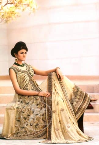 Light Fawn Front Open A Line Gown Lehnga